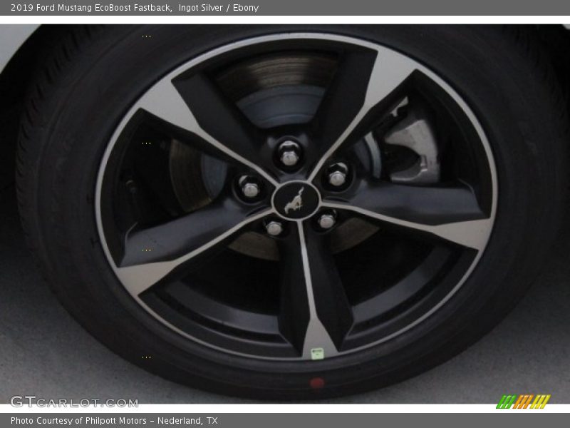 Ingot Silver / Ebony 2019 Ford Mustang EcoBoost Fastback