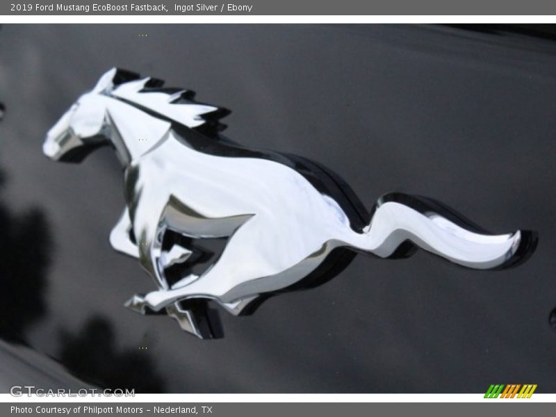Ingot Silver / Ebony 2019 Ford Mustang EcoBoost Fastback