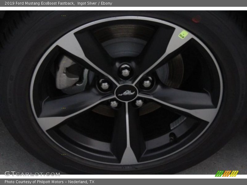 Ingot Silver / Ebony 2019 Ford Mustang EcoBoost Fastback