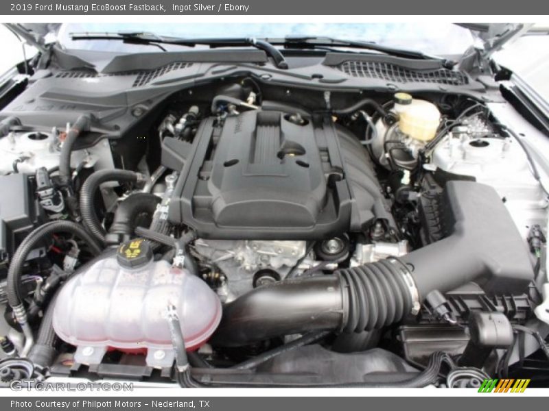 Ingot Silver / Ebony 2019 Ford Mustang EcoBoost Fastback