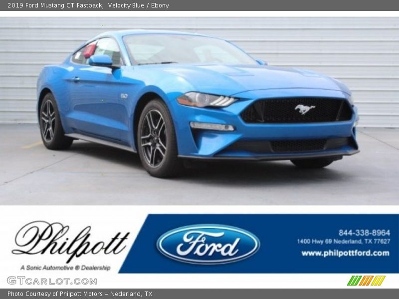 Velocity Blue / Ebony 2019 Ford Mustang GT Fastback