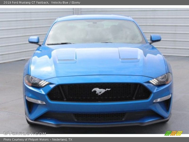 Velocity Blue / Ebony 2019 Ford Mustang GT Fastback