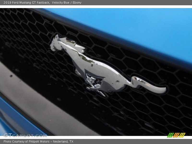  2019 Mustang GT Fastback Logo