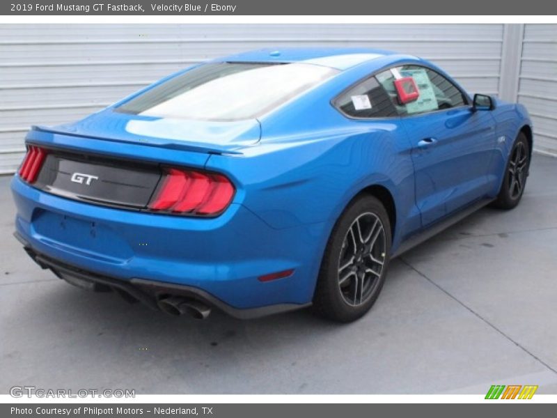  2019 Mustang GT Fastback Velocity Blue