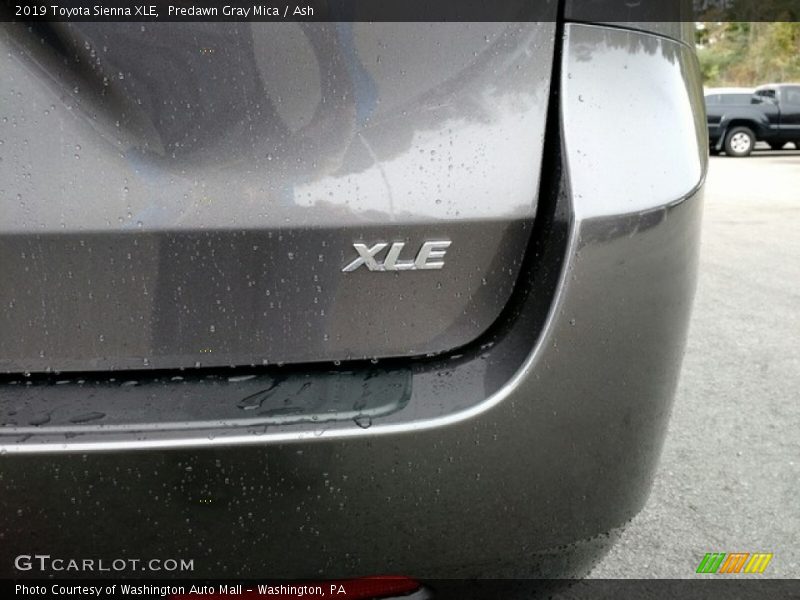 Predawn Gray Mica / Ash 2019 Toyota Sienna XLE