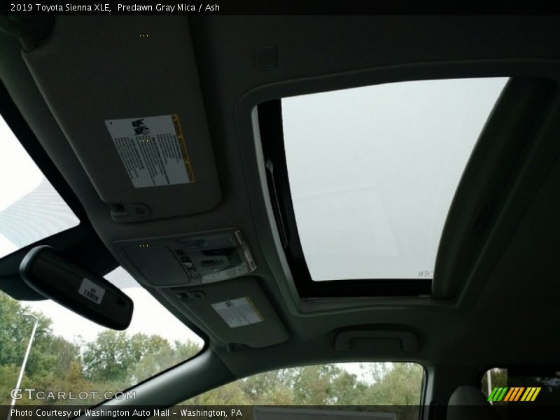 Predawn Gray Mica / Ash 2019 Toyota Sienna XLE