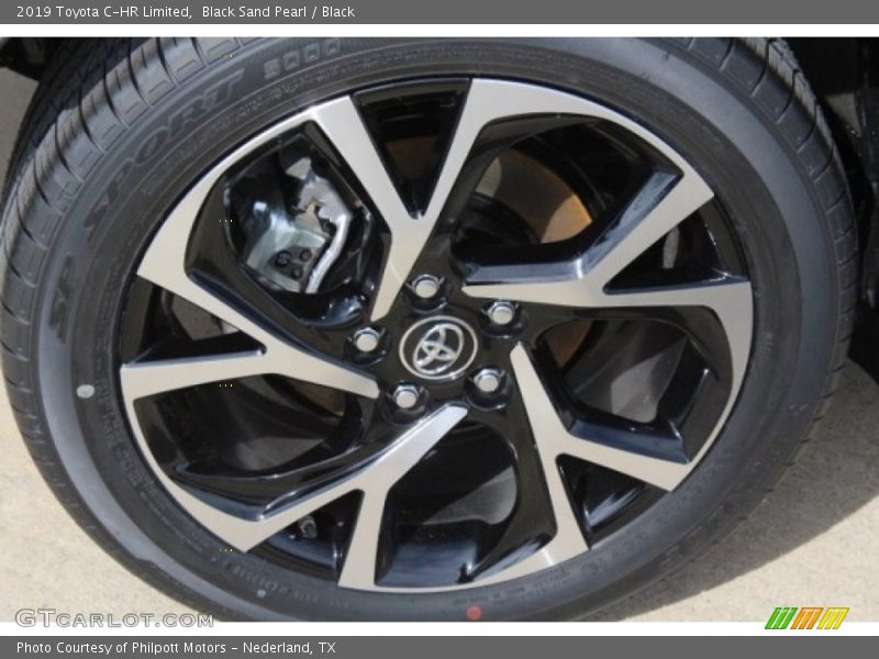 Black Sand Pearl / Black 2019 Toyota C-HR Limited