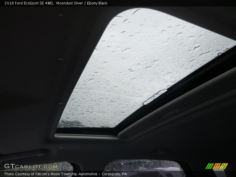 Moondust Silver / Ebony Black 2018 Ford EcoSport SE 4WD