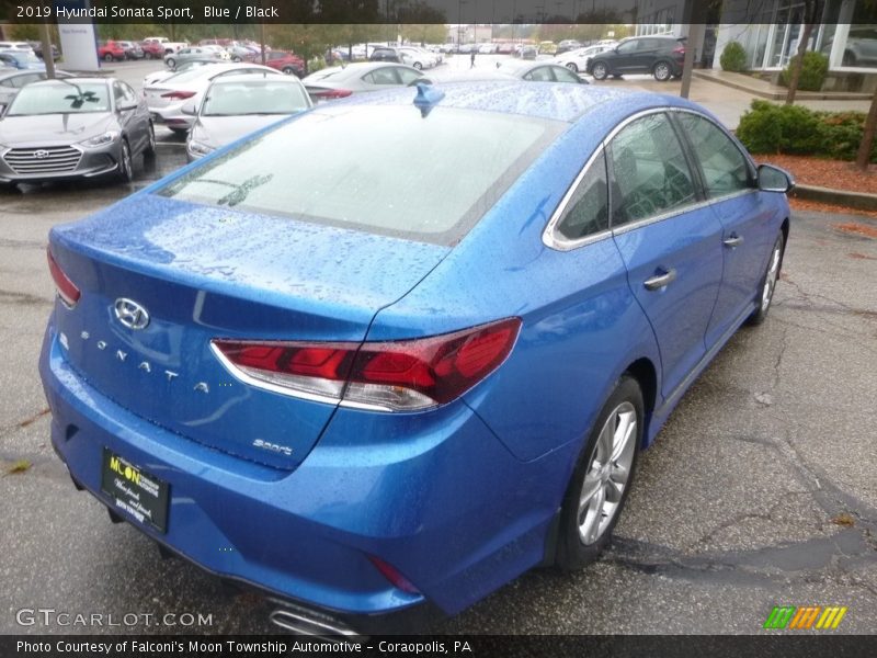 Blue / Black 2019 Hyundai Sonata Sport