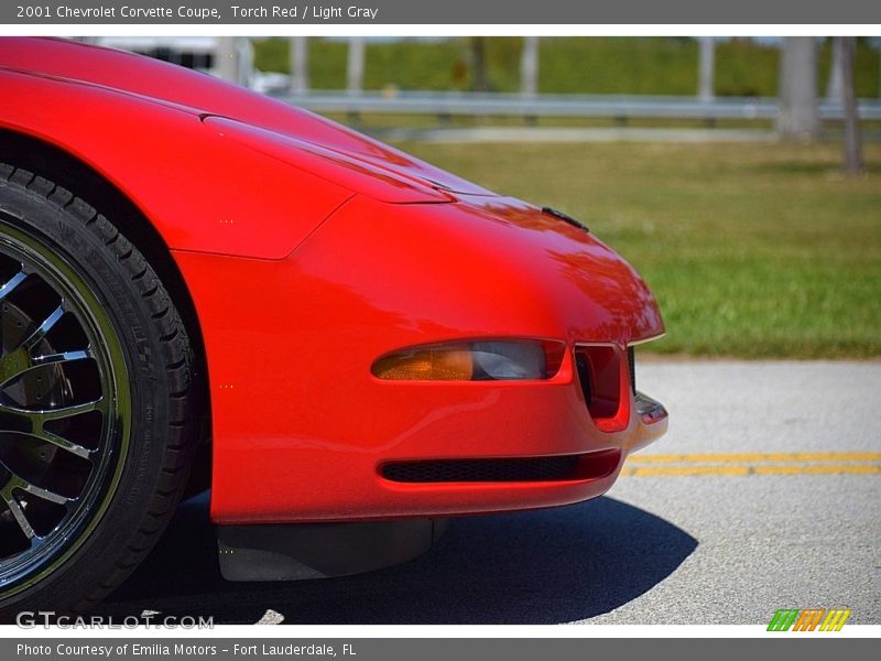 Torch Red / Light Gray 2001 Chevrolet Corvette Coupe
