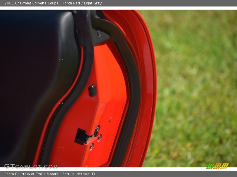 Torch Red / Light Gray 2001 Chevrolet Corvette Coupe