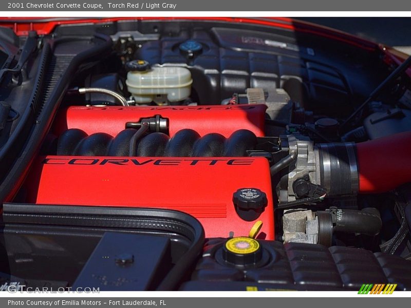 Torch Red / Light Gray 2001 Chevrolet Corvette Coupe