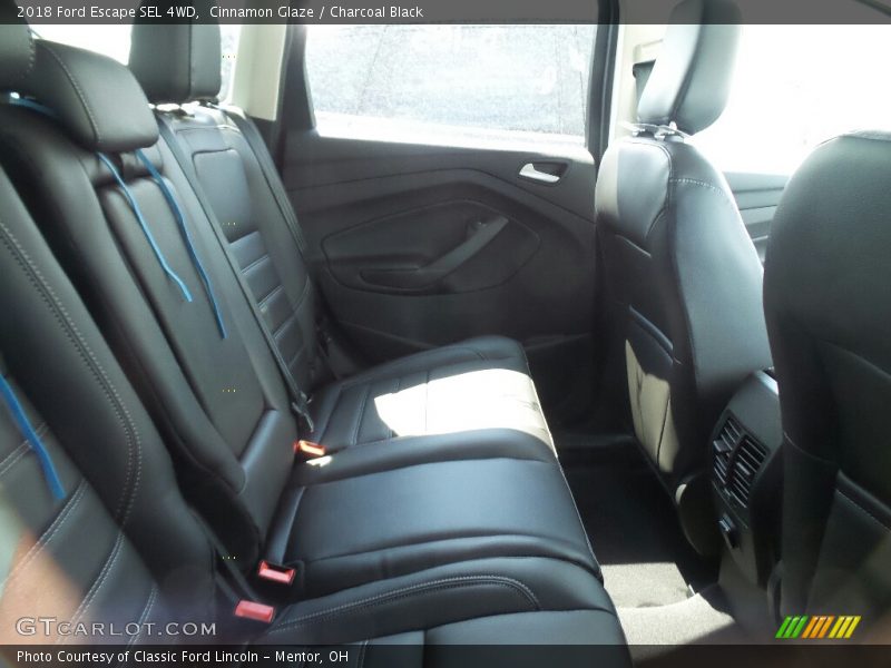 Cinnamon Glaze / Charcoal Black 2018 Ford Escape SEL 4WD