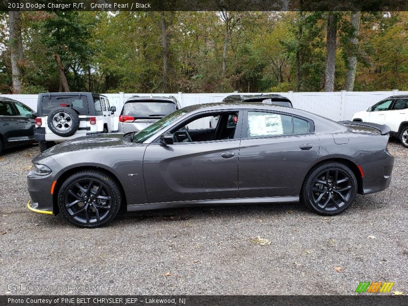  2019 Charger R/T Granite Pearl