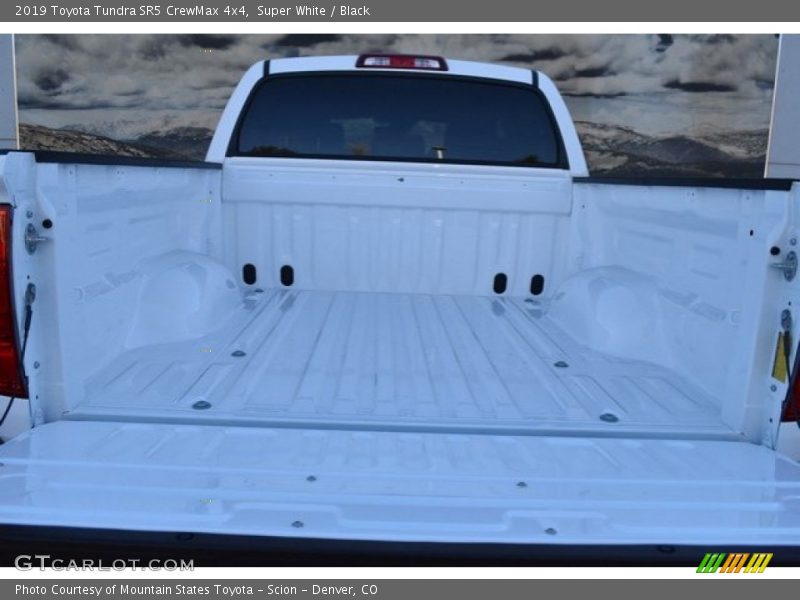 Super White / Black 2019 Toyota Tundra SR5 CrewMax 4x4