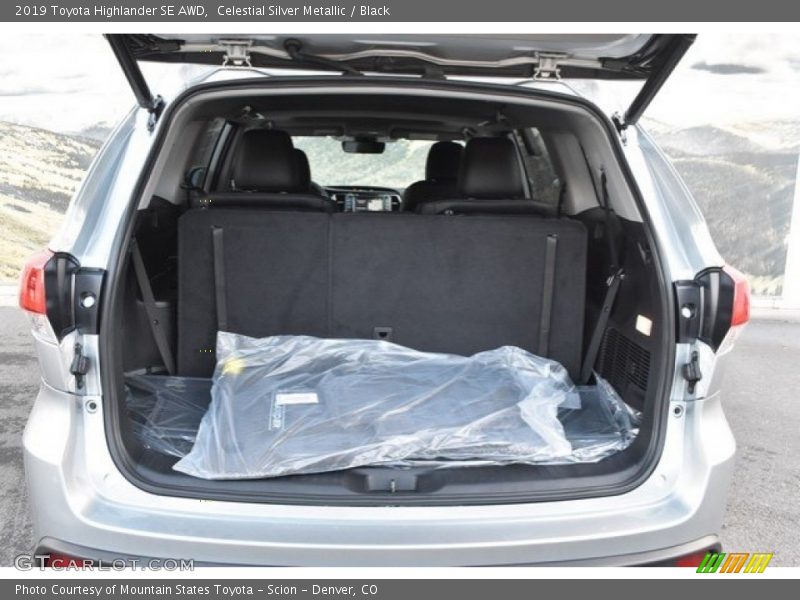 Celestial Silver Metallic / Black 2019 Toyota Highlander SE AWD
