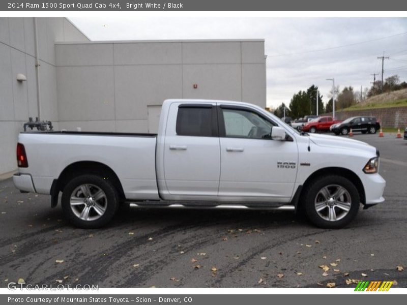 Bright White / Black 2014 Ram 1500 Sport Quad Cab 4x4