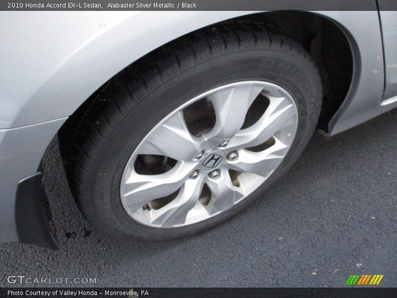 Alabaster Silver Metallic / Black 2010 Honda Accord EX-L Sedan