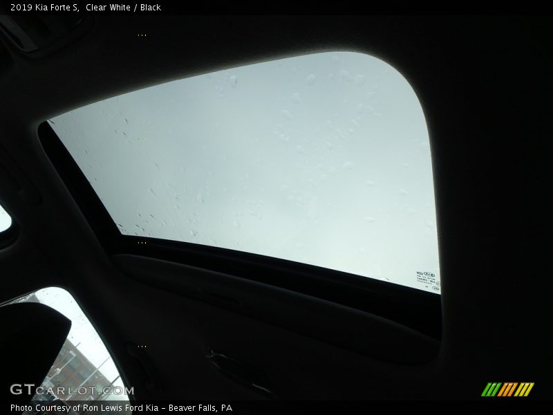 Clear White / Black 2019 Kia Forte S