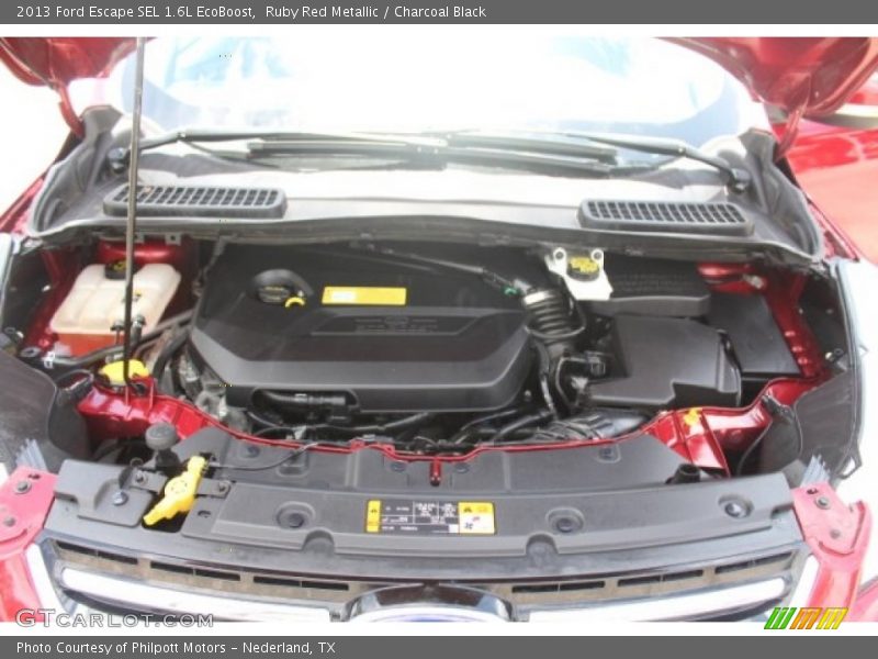 Ruby Red Metallic / Charcoal Black 2013 Ford Escape SEL 1.6L EcoBoost