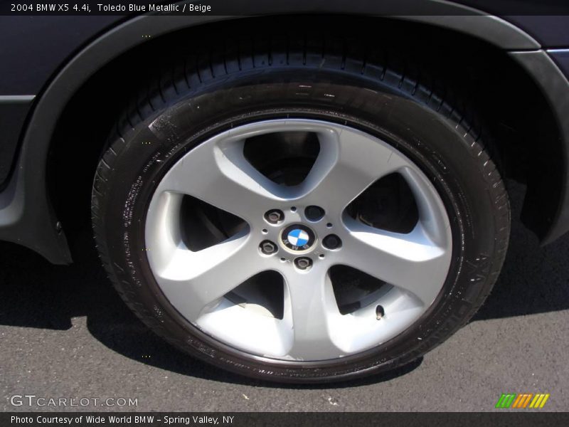 Toledo Blue Metallic / Beige 2004 BMW X5 4.4i