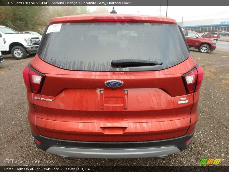 Sedona Orange / Chromite Gray/Charcoal Black 2019 Ford Escape SE 4WD