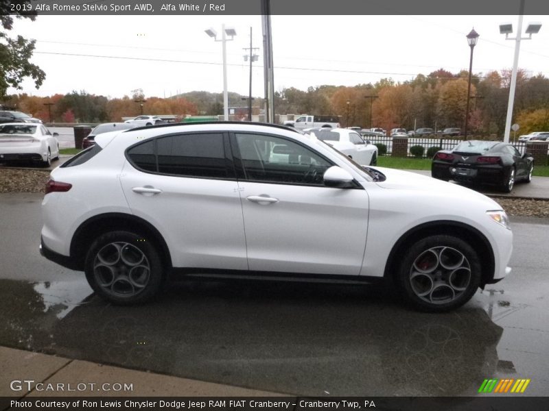 Alfa White / Red 2019 Alfa Romeo Stelvio Sport AWD