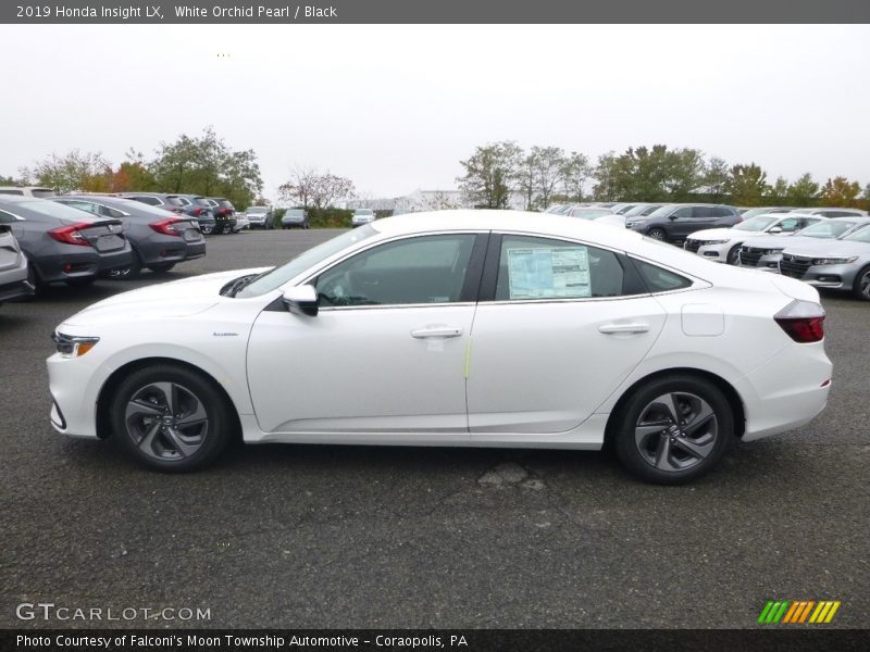  2019 Insight LX White Orchid Pearl