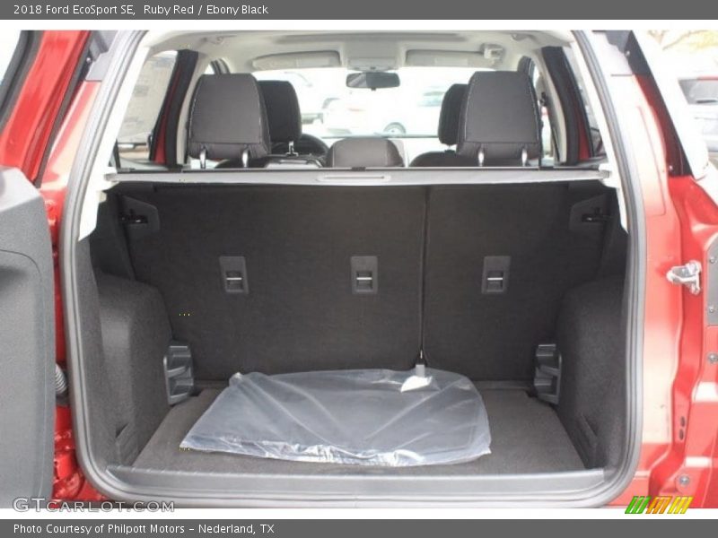 Ruby Red / Ebony Black 2018 Ford EcoSport SE