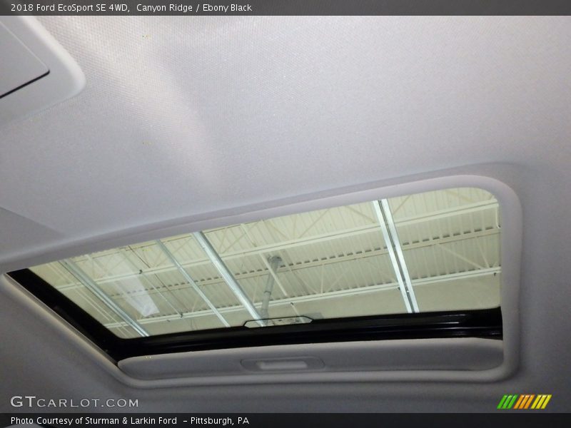 Canyon Ridge / Ebony Black 2018 Ford EcoSport SE 4WD