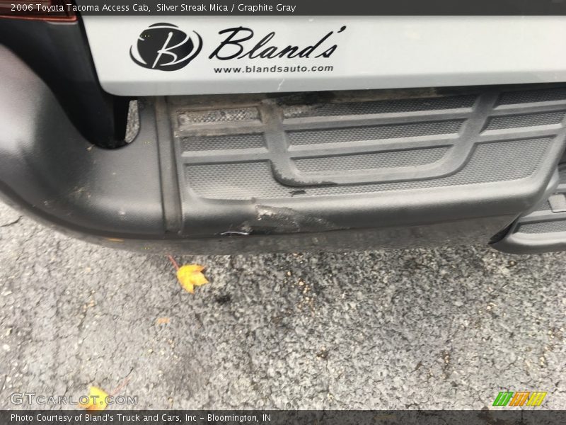 Silver Streak Mica / Graphite Gray 2006 Toyota Tacoma Access Cab