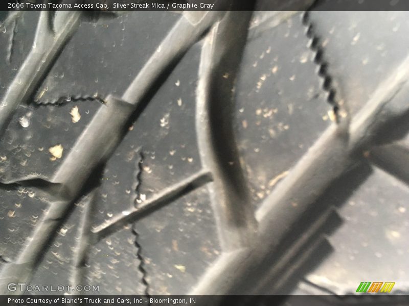 Silver Streak Mica / Graphite Gray 2006 Toyota Tacoma Access Cab