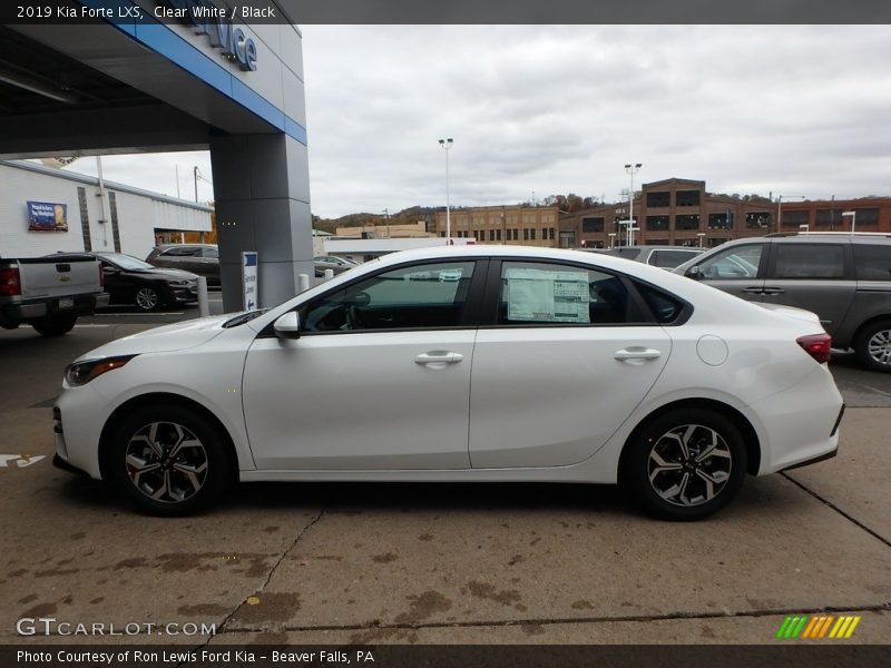 Clear White / Black 2019 Kia Forte LXS