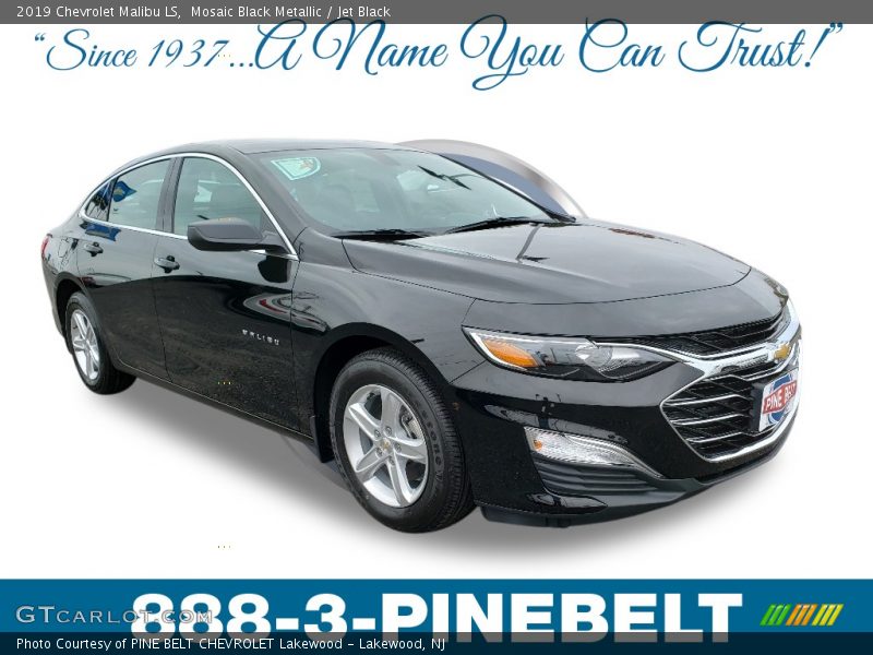 Mosaic Black Metallic / Jet Black 2019 Chevrolet Malibu LS