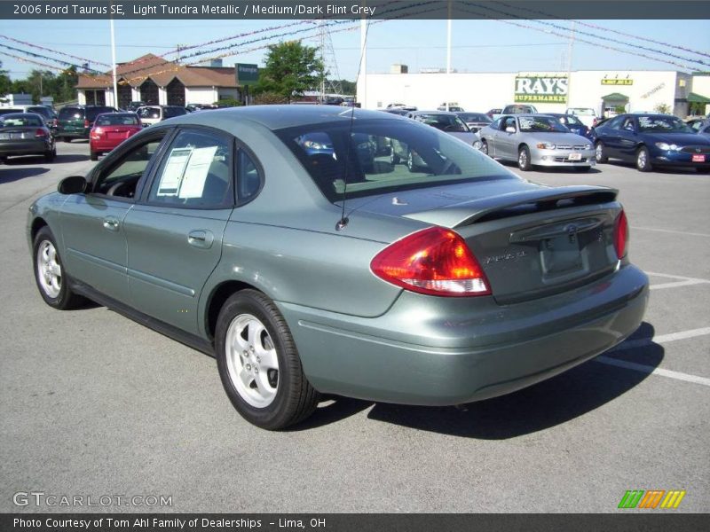 Light Tundra Metallic / Medium/Dark Flint Grey 2006 Ford Taurus SE