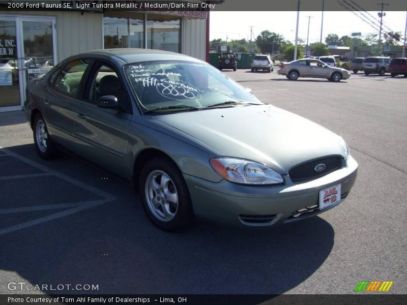 Light Tundra Metallic / Medium/Dark Flint Grey 2006 Ford Taurus SE