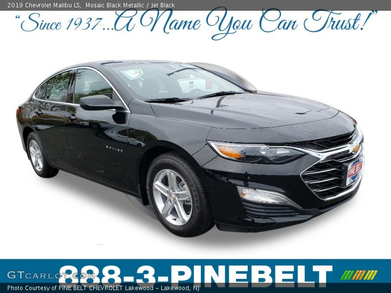 Mosaic Black Metallic / Jet Black 2019 Chevrolet Malibu LS
