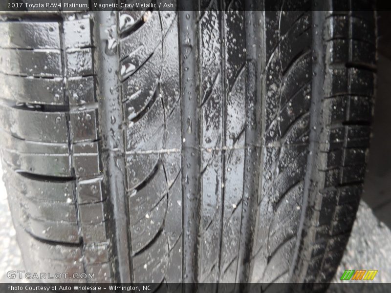 Magnetic Gray Metallic / Ash 2017 Toyota RAV4 Platinum