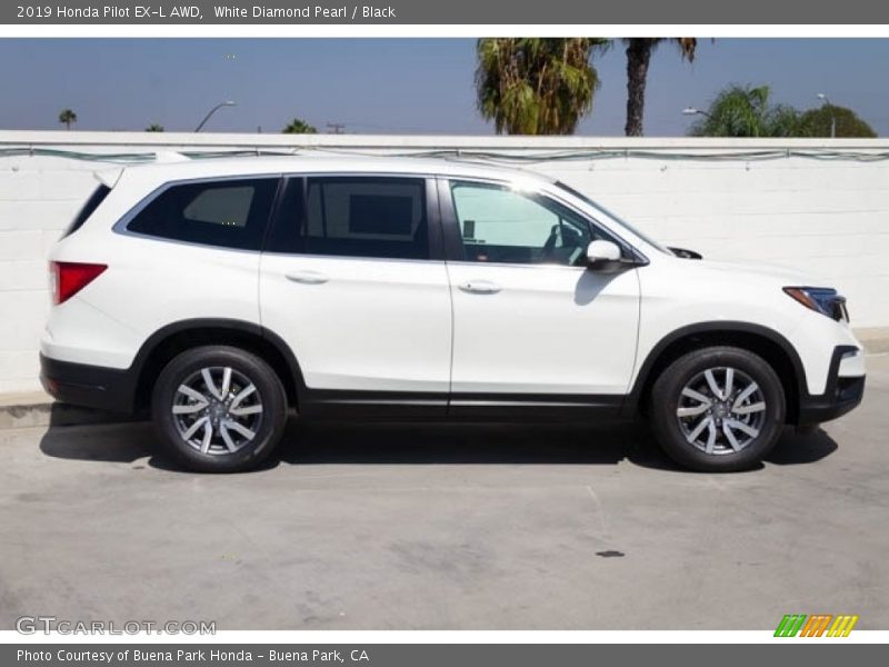 White Diamond Pearl / Black 2019 Honda Pilot EX-L AWD