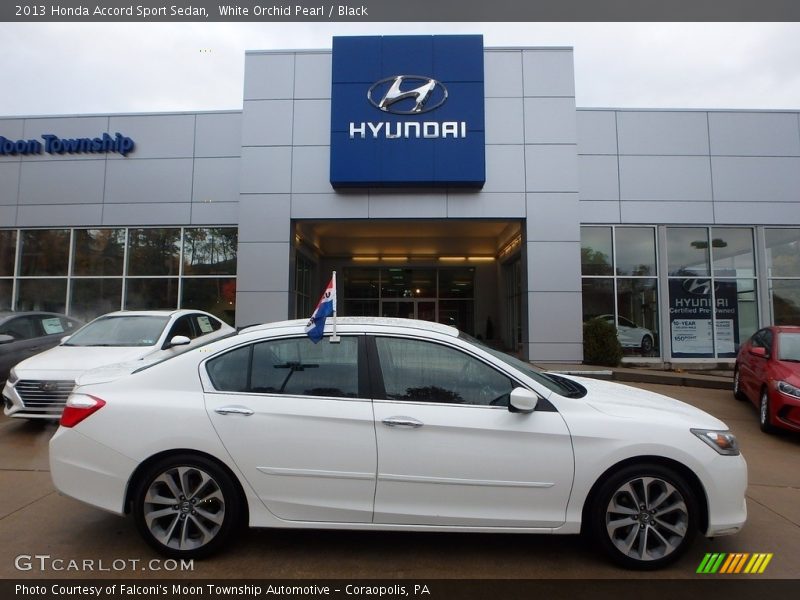 White Orchid Pearl / Black 2013 Honda Accord Sport Sedan