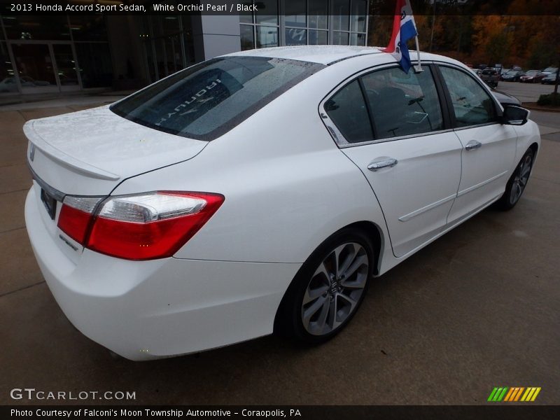 White Orchid Pearl / Black 2013 Honda Accord Sport Sedan