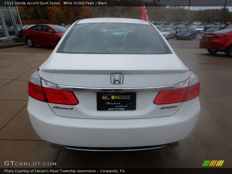 White Orchid Pearl / Black 2013 Honda Accord Sport Sedan