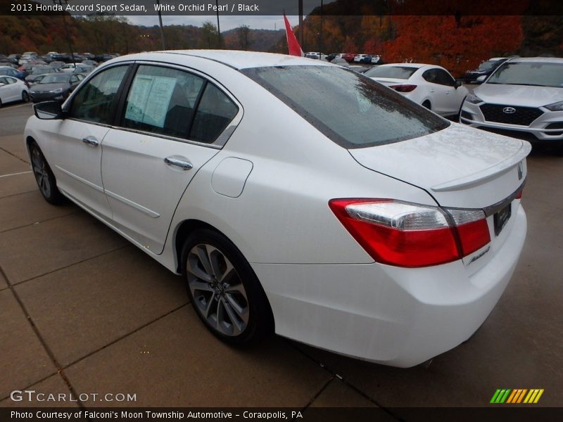 White Orchid Pearl / Black 2013 Honda Accord Sport Sedan