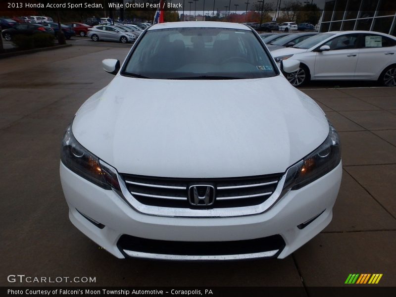 White Orchid Pearl / Black 2013 Honda Accord Sport Sedan