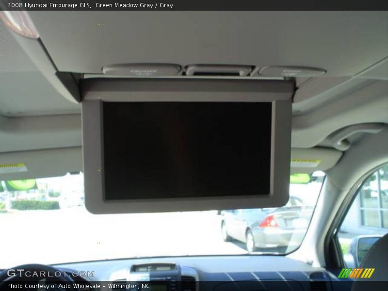 Green Meadow Gray / Gray 2008 Hyundai Entourage GLS