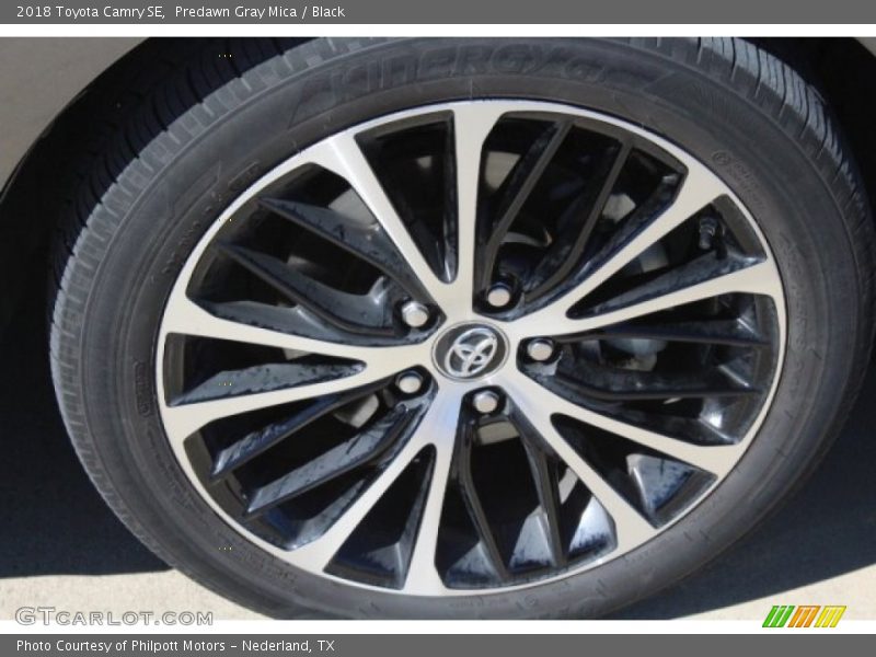 Predawn Gray Mica / Black 2018 Toyota Camry SE