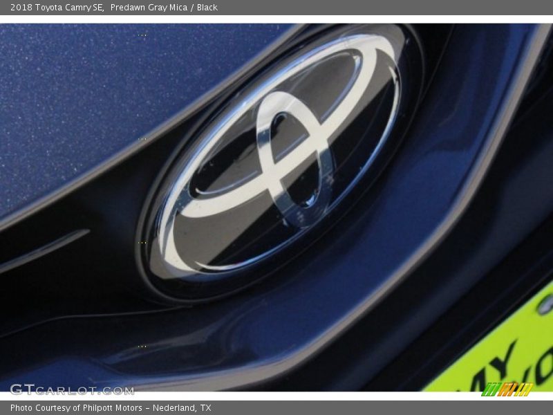 Predawn Gray Mica / Black 2018 Toyota Camry SE