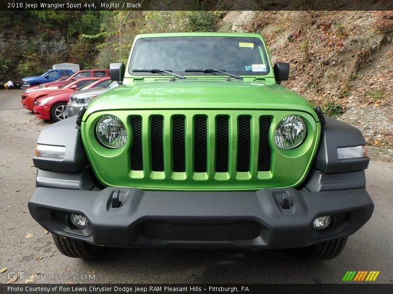 Mojito! / Black 2018 Jeep Wrangler Sport 4x4