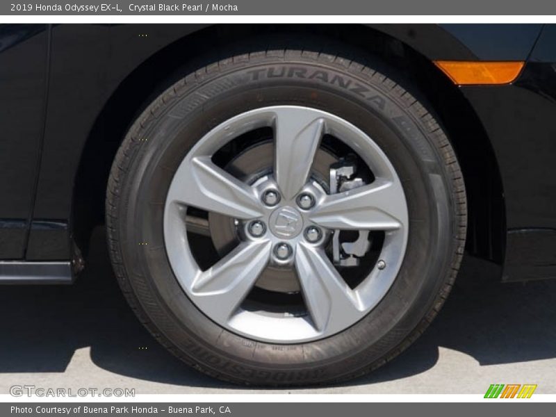 Crystal Black Pearl / Mocha 2019 Honda Odyssey EX-L
