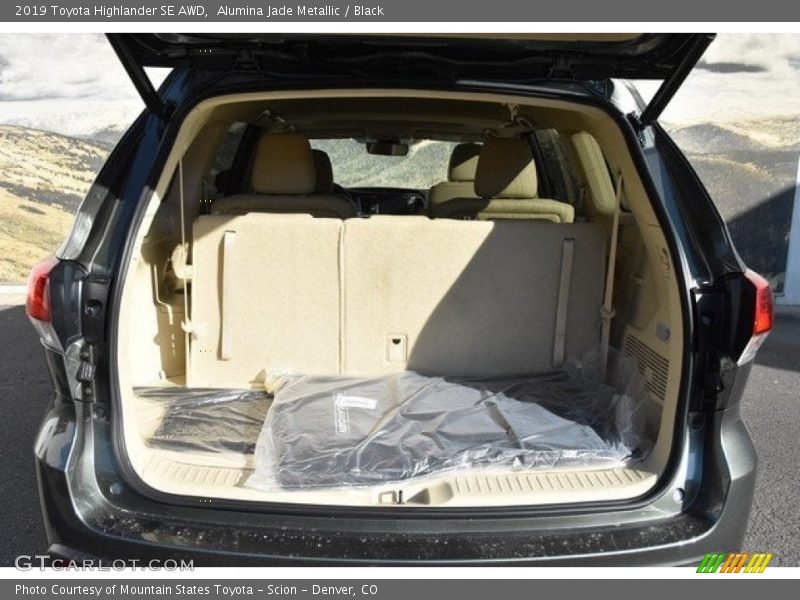 Alumina Jade Metallic / Black 2019 Toyota Highlander SE AWD